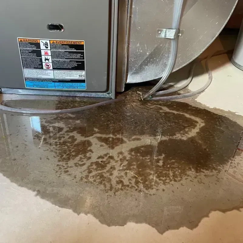 Appliance Leak Cleanup in Mason County, IL